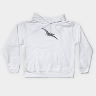 Pterodactyl Dinosaur Kids Hoodie